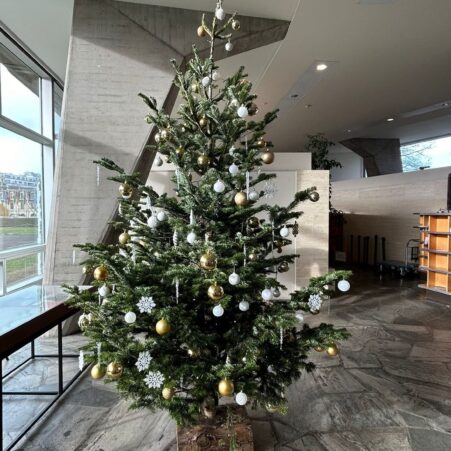 livraison-sapin-decore-1 - Copie