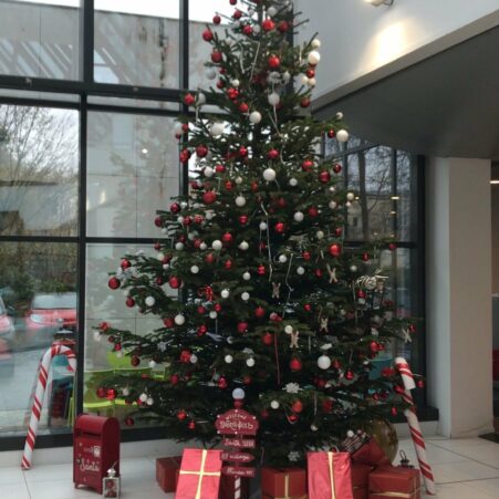 livraison-sapin-decore-2